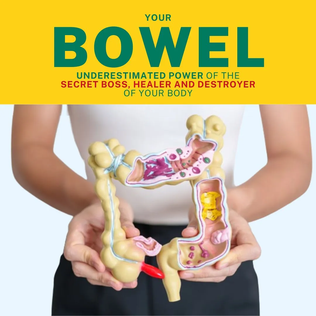 Your Bowel: Underestimated Power of the secret Boss, Healer and destroyer of your body