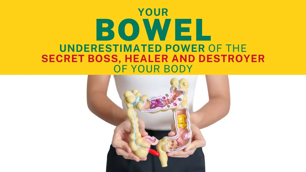 Your Bowel: Underestimated Power of the secret Boss, Healer and destroyer of your body