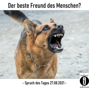 Read more about the article Der beste Freund des Menschen? // Spruch des Tages 27.08.2021