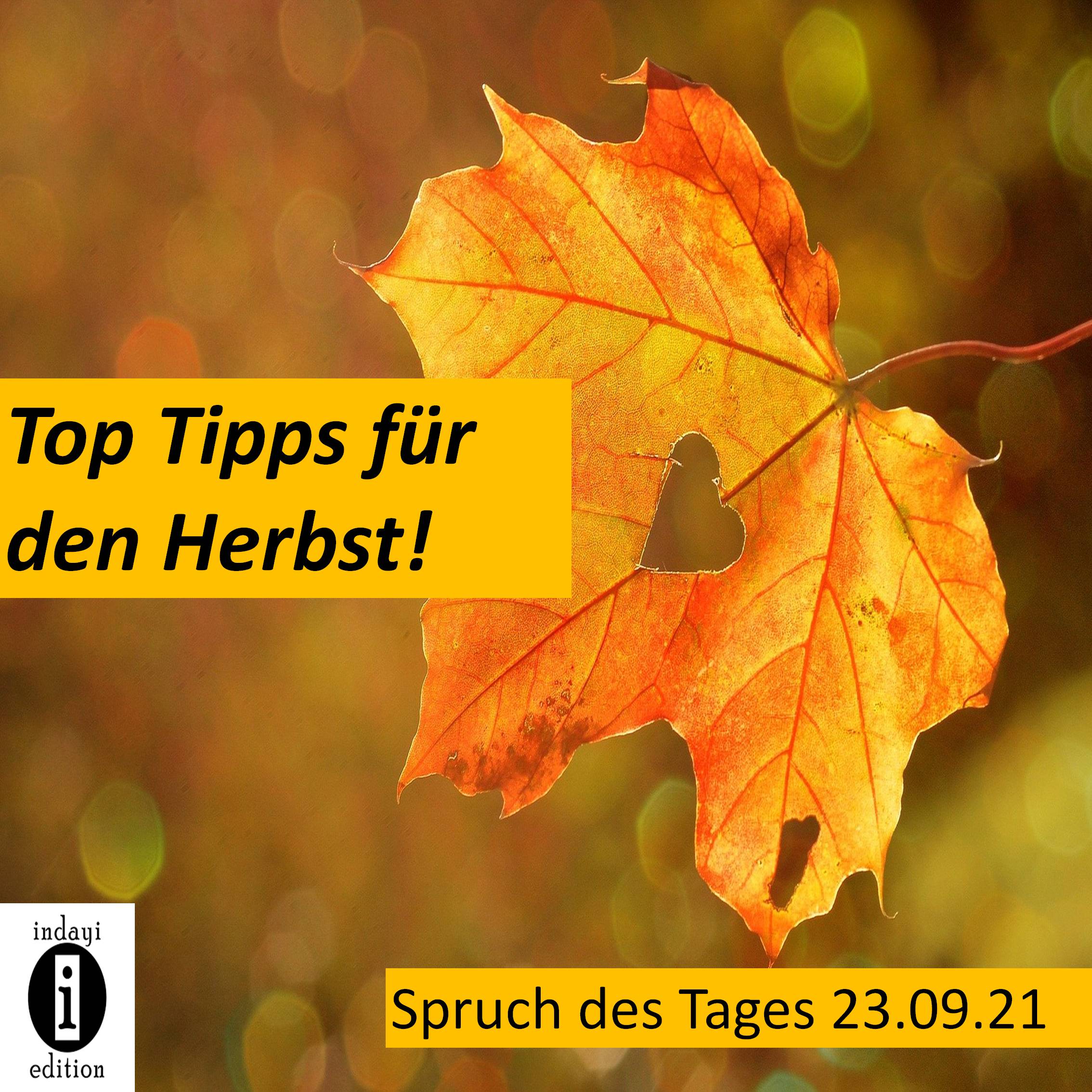 You are currently viewing Unsere Top Tipps für den Herbst! // Spruch des Tages 23.09.21