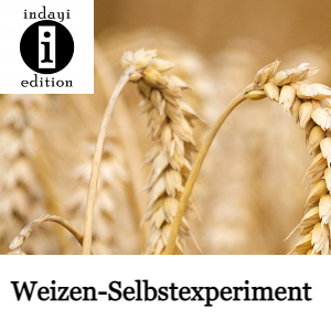You are currently viewing Weizen-Selbstexperiment / Spruch des Tages 30.09.2021