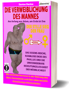 Cover Die Verweiblichung des Mannes